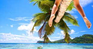 Legs of woman sitting on palm at tropical beach